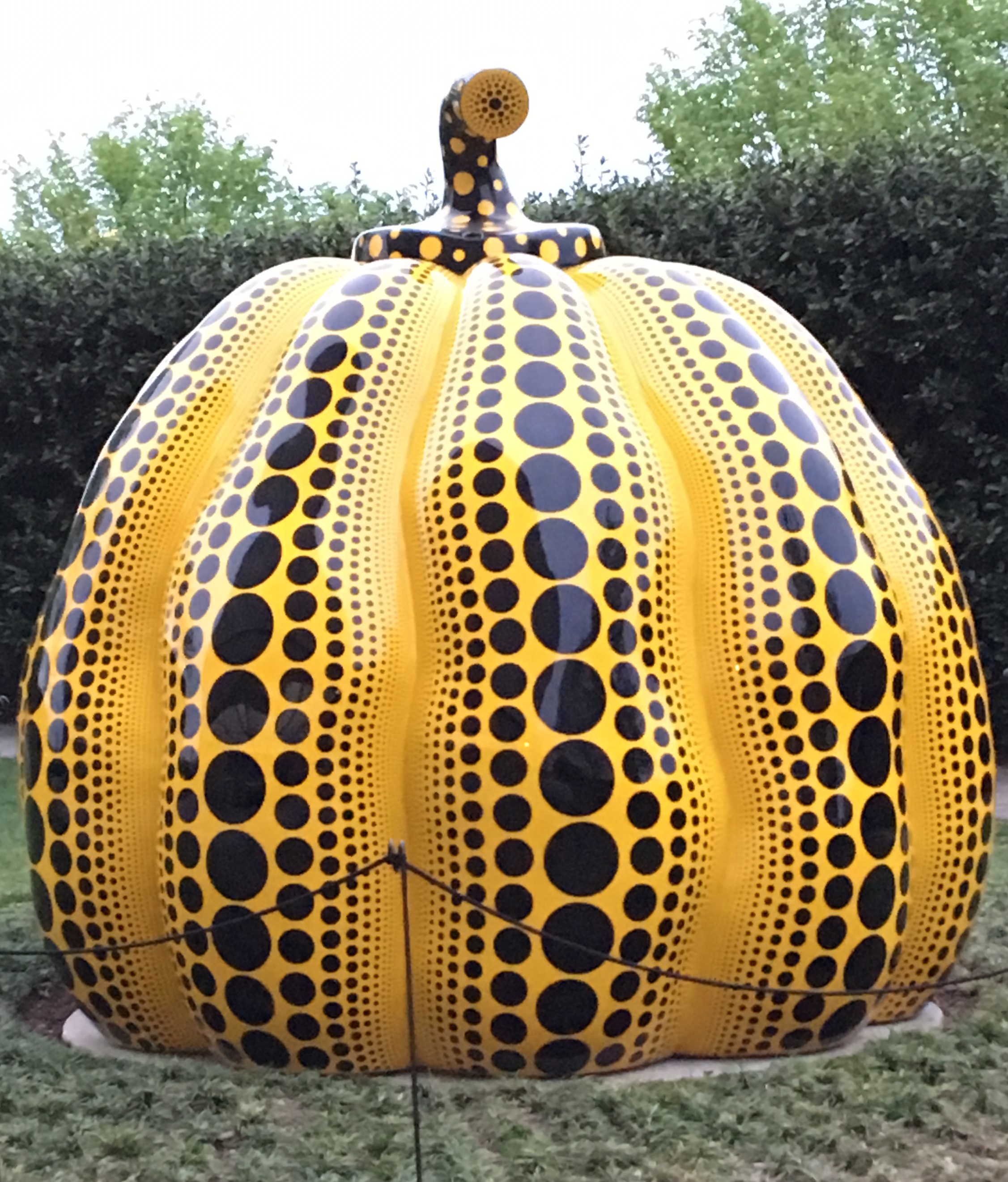 Yayoi Kusam Pumpkin